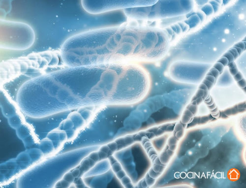 Bacterias en la Cocina: Dónde se Encuentran y Cómo Combatirlas